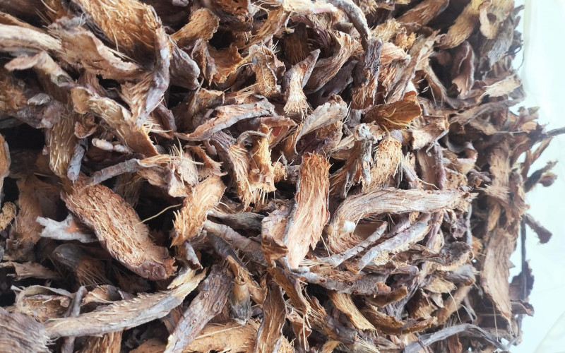 Thiên Niên Kiện Khô SATOSO - Ảnh 4