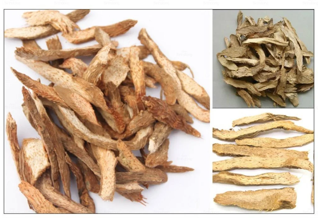 Thiên Niên Kiện Khô SATOSO - Ảnh 5