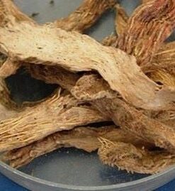 Thiên Niên Kiện Khô SATOSO - Ảnh 6