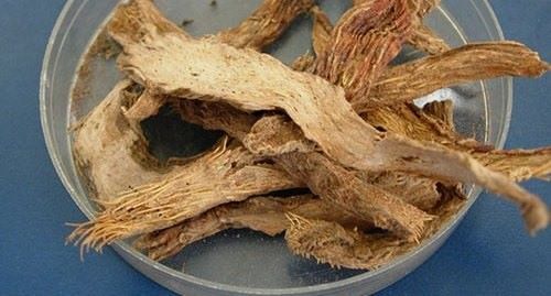 Thiên Niên Kiện Khô SATOSO - Ảnh 2