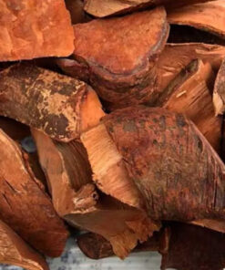 Cây Mú Từn Khô Thượng Hạng Satoso - Ảnh 5