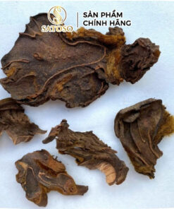 Cẩu Tích (Lông Culi) Khô SATOSO