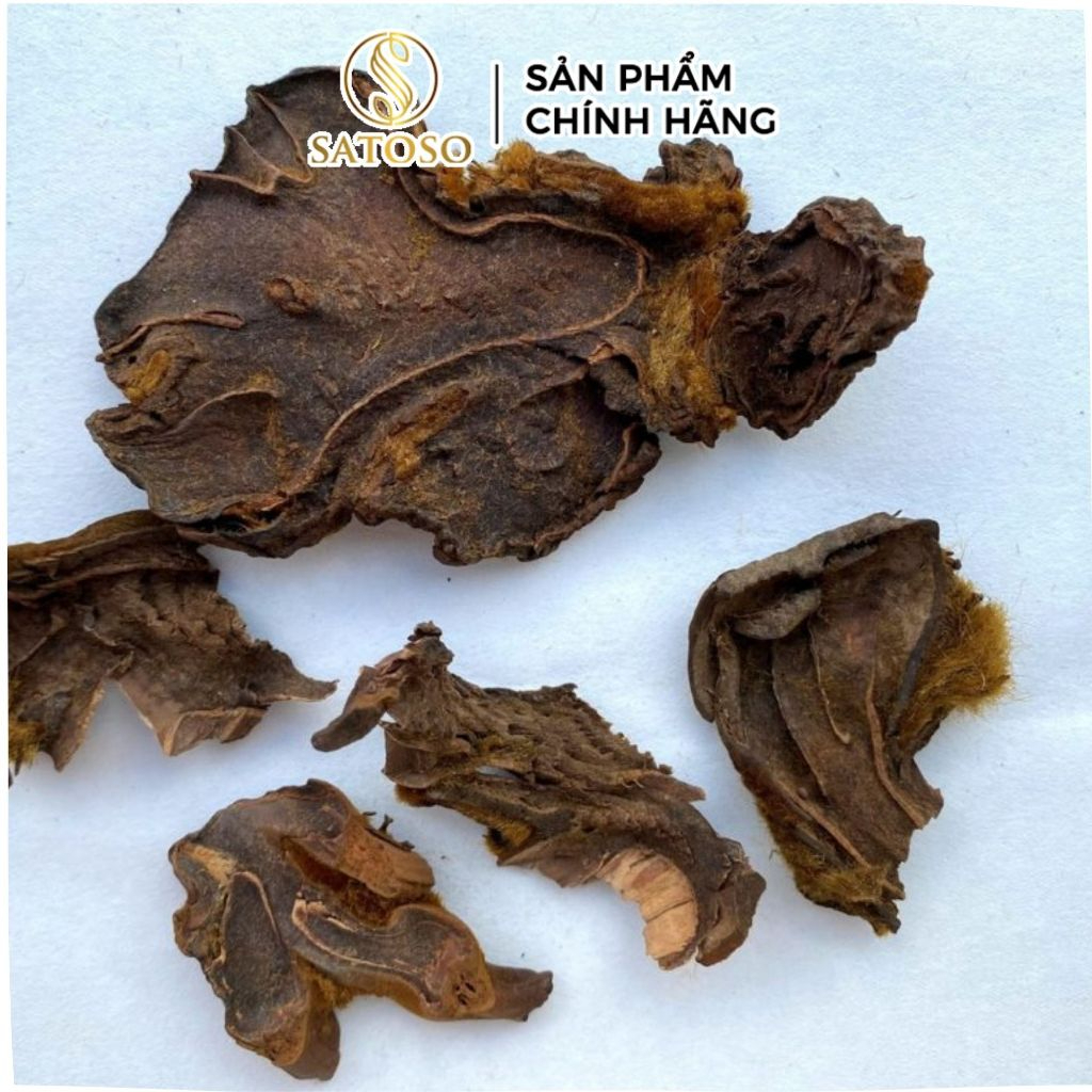 Cẩu Tích (Lông Culi) Khô SATOSO