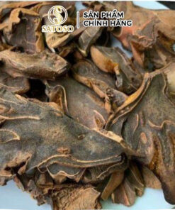 Cẩu Tích (Lông Culi) Khô SATOSO - Ảnh 4