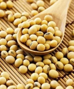 Đậu Nành Khô SATOSO - Ảnh 5