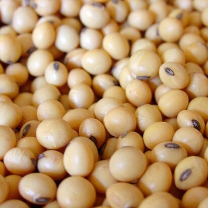 Đậu Nành Khô SATOSO - Ảnh 3