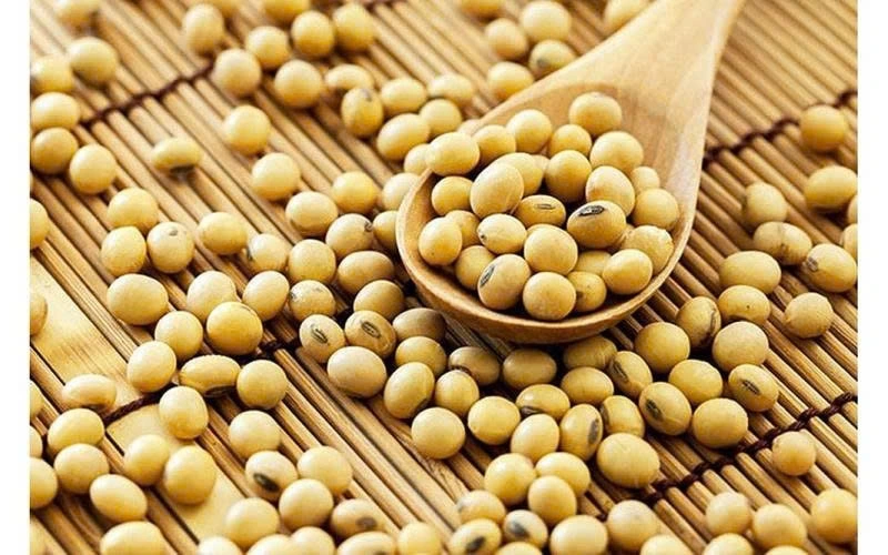 Đậu Nành Khô SATOSO - Ảnh 6