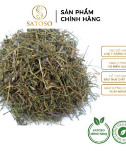 Giảo Cổ Lam Khô Túi Lọc SATOSO