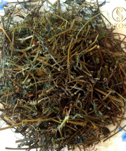 Giảo Cổ Lam Khô Túi Lọc SATOSO - Ảnh 3