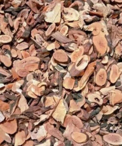 Cây gối hạc khô SATOSO - Ảnh 3