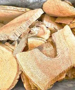 Cây gối hạc khô SATOSO - Ảnh 4