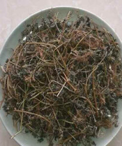 Cây Dòi Thân Tím Khô (Bọ Mắm) SATOSO - Ảnh 2
