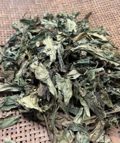 Cây bầu đất tím Satoso - Ảnh 5