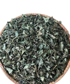 Cây bầu đất tím Satoso - Ảnh 6