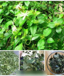 Chè Vằng Túi Lọc Thương Hiệu Satoso - Ảnh 7