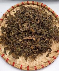 Lá Đinh Lăng Túi Lọc Thương Hiệu SATOSO - Ảnh 5