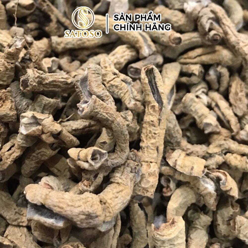 Ba Kích Tím Khô SATOSO