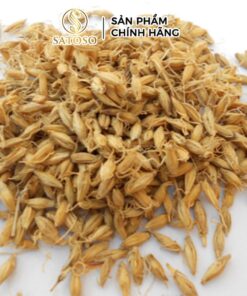 Mạch Nha Khô Thương Hiệu SATOSO