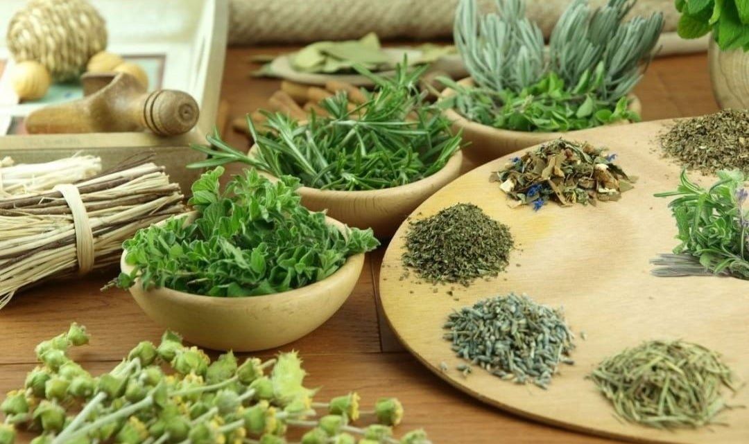 Ai không nên sử dụng?