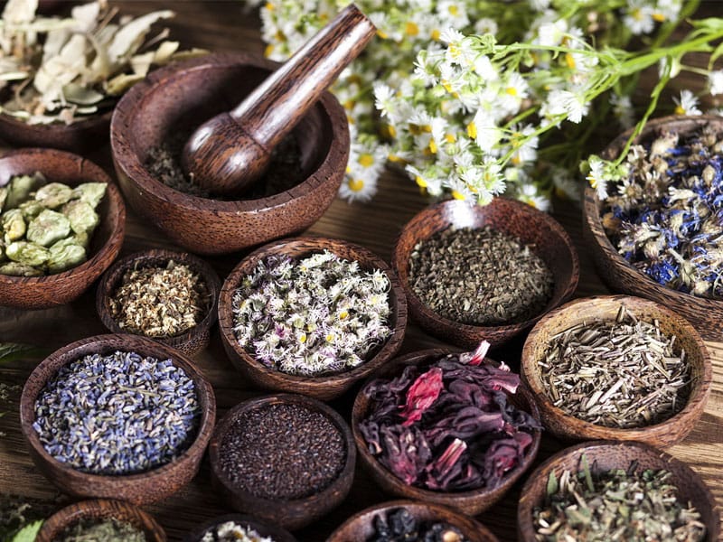 Bí Quyết Chọn Thảo Mộc Khô Chất Lượng Cao Cho Sức Khỏe Toàn Diện