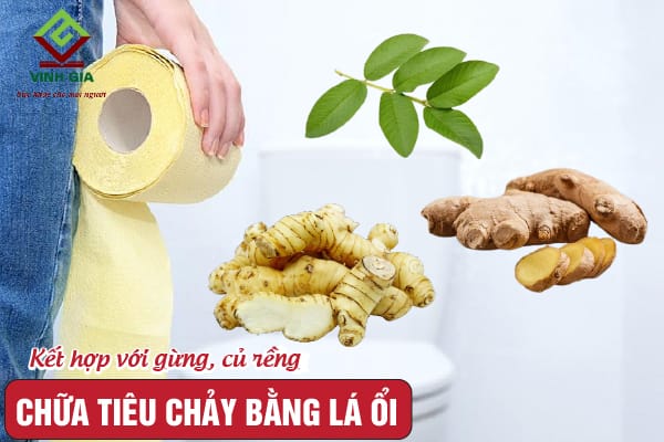 Sả kháng viêm, hỗ trợ tiêu hóa