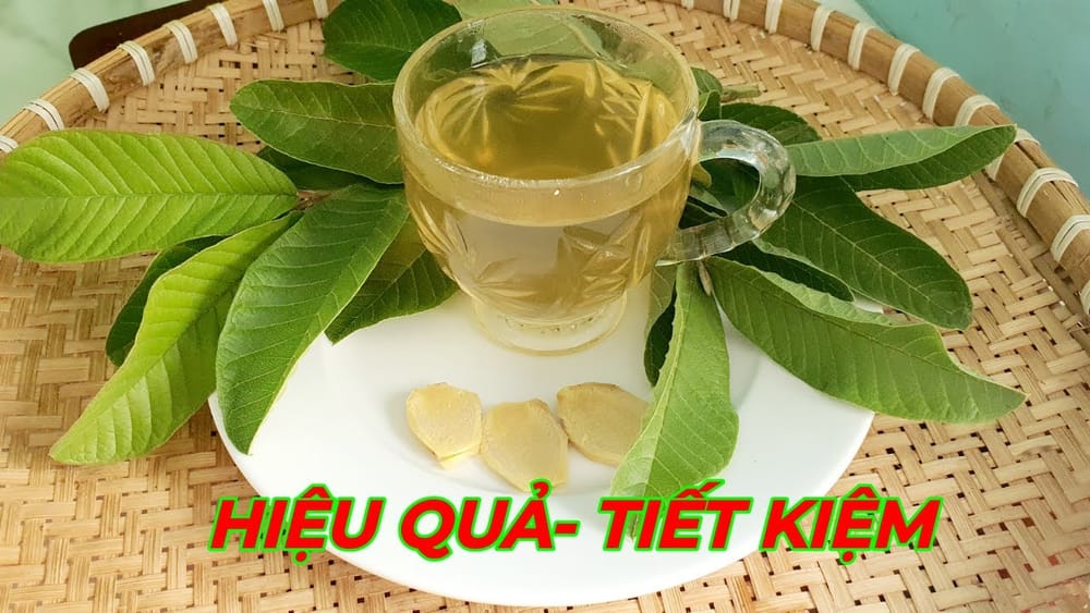 Cách dùng lá ổi kết hợp gừng và sả để trị tiêu chảy tại nhà an toàn hiệu quả