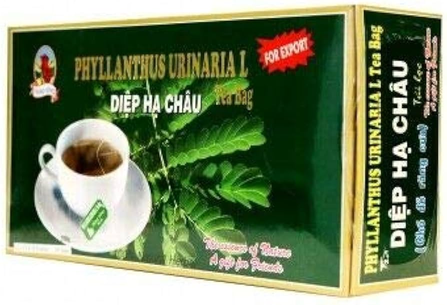 Lưu ý quan trọng khi sử dụng