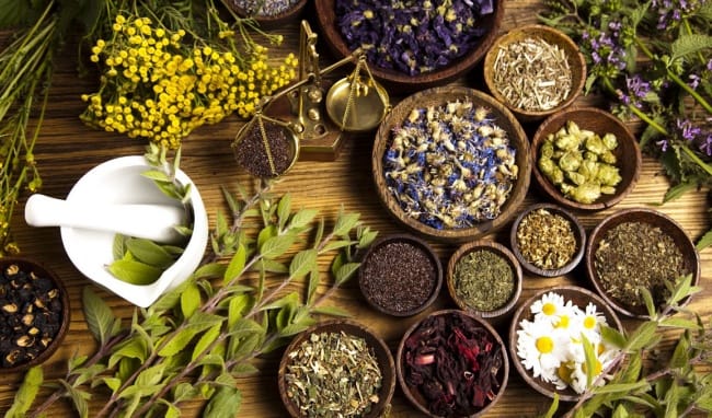 Satoso: Nâng Tầm Sức Khỏe và Sắc Đẹp Với Thảo Mộc Thiên Nhiên