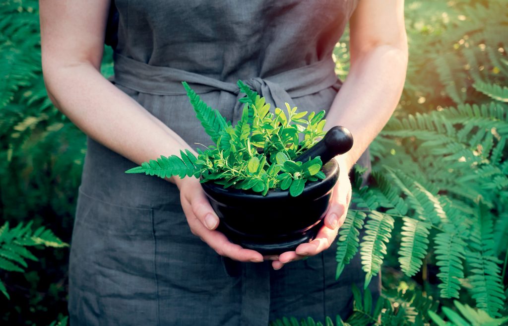 Tìm hiểu bản chất của thảo mộc và lý do tại sao xu hướng chữa lành tự nhiên đang trở nên phổ biến hiện nay