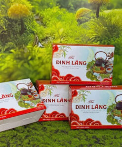 Trà Đinh Lăng túi lọc Mộc Tâm - Ảnh 4