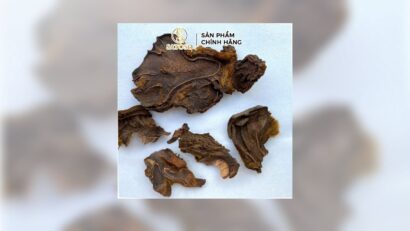 Cẩu Tích Lông Culi Khô: Công Dụng Tuyệt Vời Cho Sức Khỏe Xương Khớp