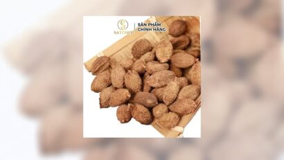 Lợi ích của Sa Nhân Khô: Bí quyết hỗ trợ tiêu hóa tự nhiên
