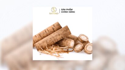 Rễ Ngưu Bàng Khô: Bí Quyết Thanh Lọc Cơ Thể Và Tăng Cường Sức Khỏe