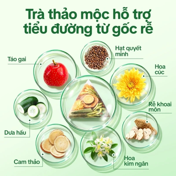 Bí quyết xây dựng thực đơn thảo mộc hằng ngày để tăng cường hệ miễn dịch cho người bận rộn