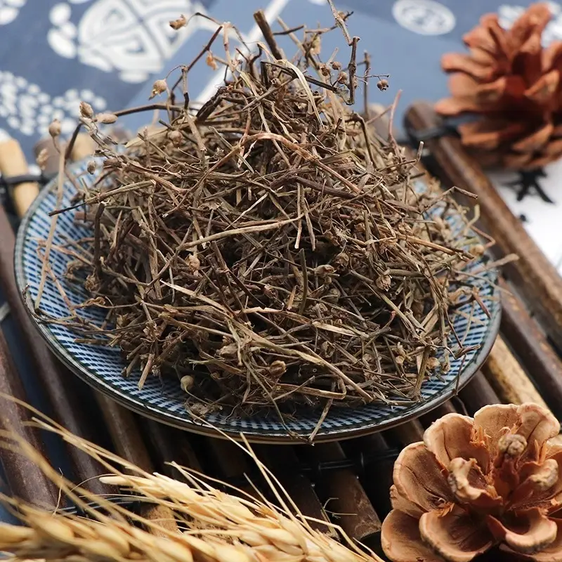 Công dụng tuyệt vời của Cây Dòi Thân Tím đối với sức khỏe