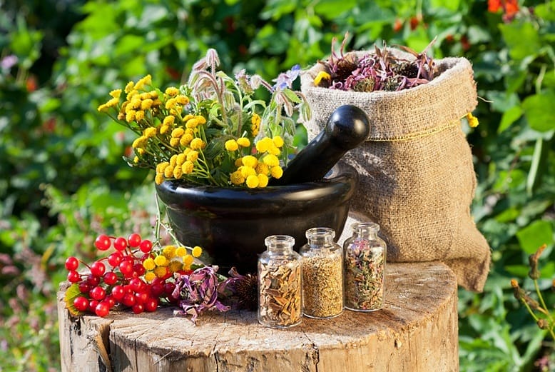 Lợi ích vượt trội của các dòng sản phẩm thảo mộc tiện lợi