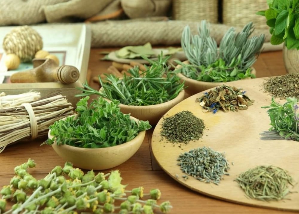 Giải pháp thay thế việc sắc thuốc thủ công bằng các dòng sản phẩm thảo mộc tiện lợi của Satoso