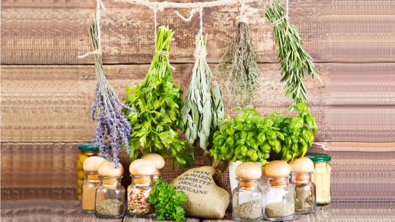 So sánh chi tiết: Cây thuốc tươi và thảo mộc sấy khô, đâu mới là lựa chọn tối ưu?