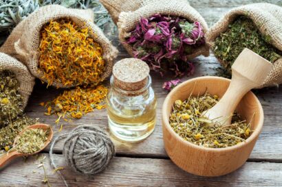 Tại sao việc sử dụng thảo dược theo mùa lại mang lại kết quả tốt nhất cho sức khỏe?