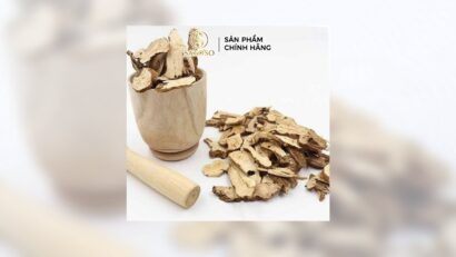 Bạch Truật Khô SATOSO: Bí quyết thảo mộc hỗ trợ tiêu hóa hiệu quả