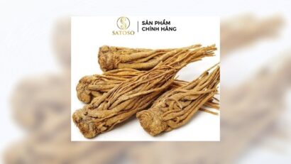 Công dụng của Đương Quy Khô: Bí quyết chăm sóc sức khỏe tự nhiên