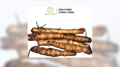 Sâm Cau Đen Khô: Bí quyết tăng cường sức khỏe và năng lượng tự nhiên