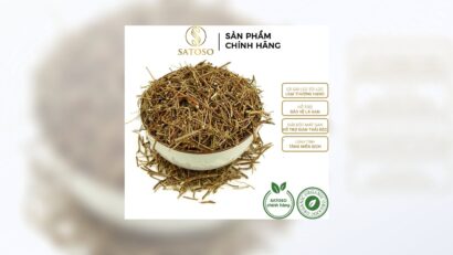 Tác dụng của Cà Gai Leo Khô: Bí quyết bảo vệ gan hiệu quả