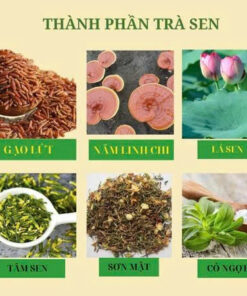 Trà Sen Gạo Lứt Linh Chi Mộc Tâm - Sự Kết Hợp Hài Hoà Giữa Lá Sen, Gạo Lứt và Nấm Linh Chi Thượng Hạng - Ảnh 6