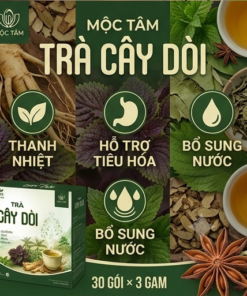 Trà Cây Dòi Mộc Tâm - Ảnh 4