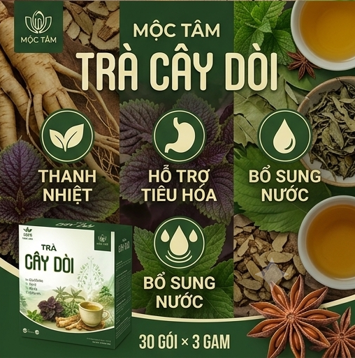Trà Cây Dòi Mộc Tâm - Ảnh 4