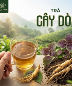 Trà Cây Dòi Mộc Tâm - Ảnh 3