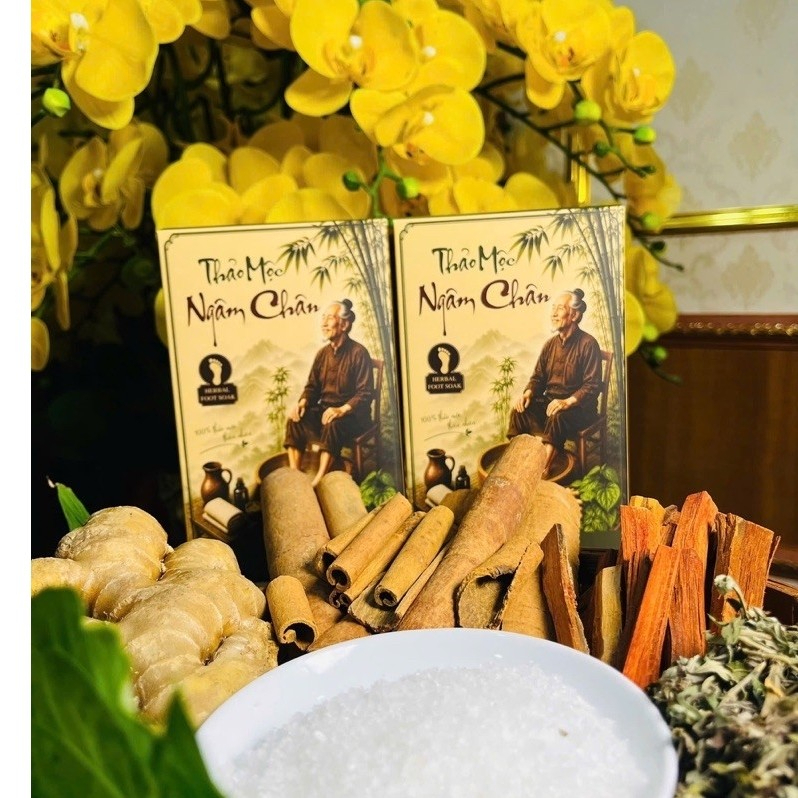 Thảo Mộc Ngâm Chân Mộc Tâm - Ảnh 3