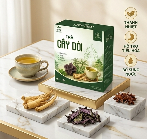 Trà Cây Dòi Mộc Tâm - Ảnh 2
