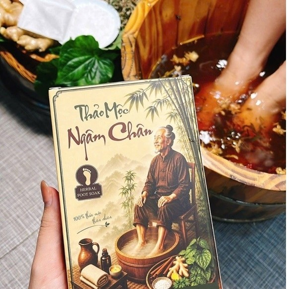 Thảo Mộc Ngâm Chân Mộc Tâm - Ảnh 5